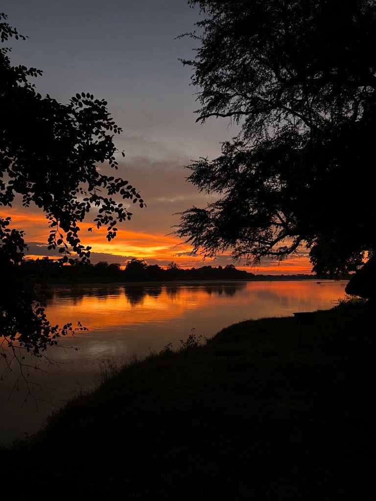 rasarit in south luangwa, africa